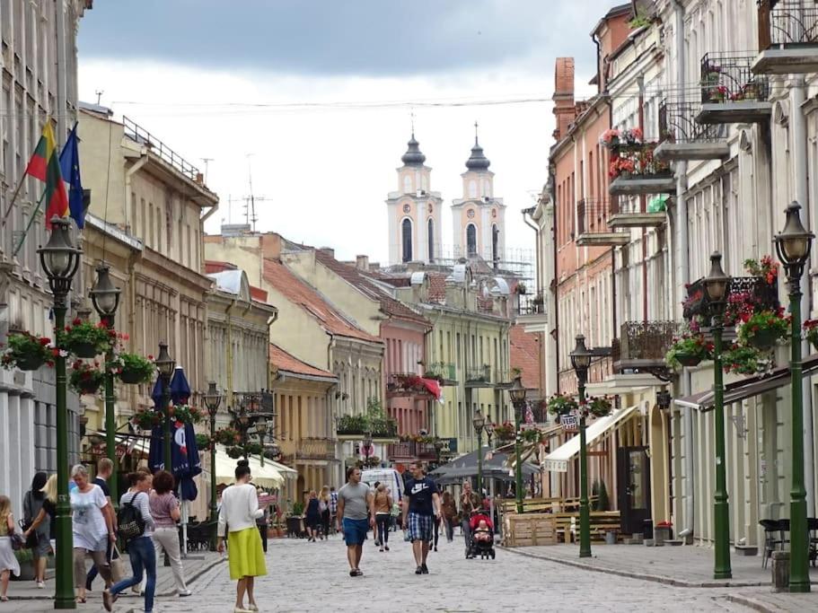 Modern Flat In Old Town Kaunas - Free Parking & Self Check-In Luaran gambar