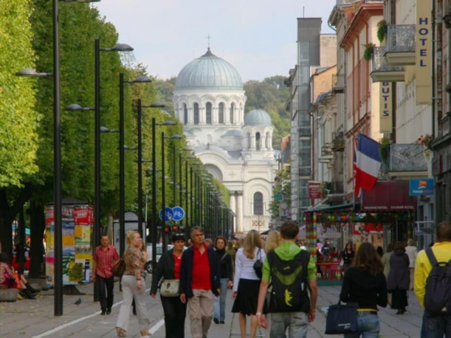 Modern Flat In Old Town Kaunas - Free Parking & Self Check-In Luaran gambar